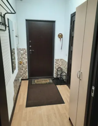 Студия, 27 м², ст. м. Девяткино