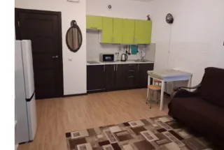 Студия, 27 м², ст. м. Девяткино