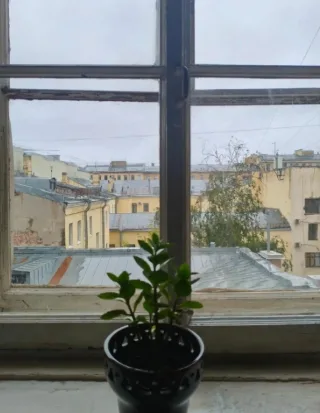 1-к. кв., 37 м², ст. м. Василеостровская