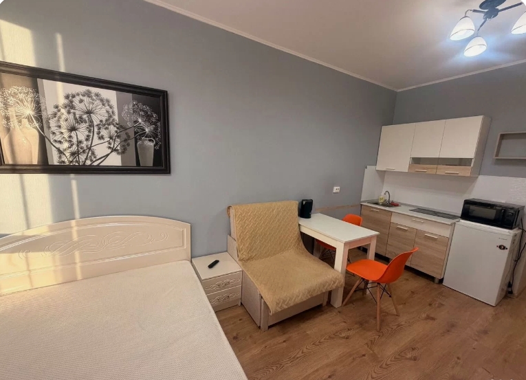 Студия, 23 м², ст. м. Парнас