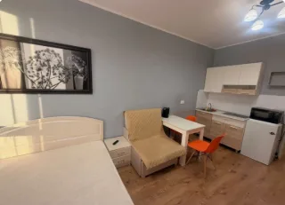 Студия, 23 м², ст. м. Парнас