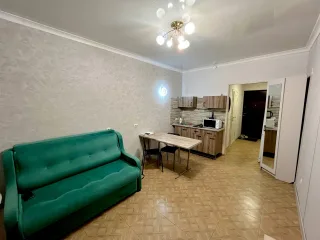 Студия, 26 м², ст. м. Девяткино