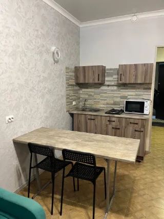 Студия, 26 м², ст. м. Девяткино