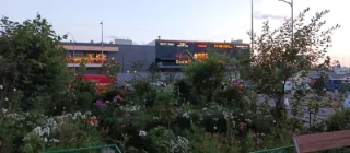 Студия, 26 м², ст. м. Девяткино