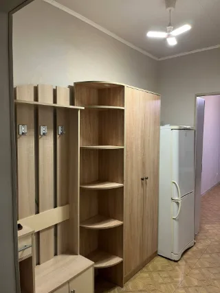 Студия, 26 м², ст. м. Девяткино