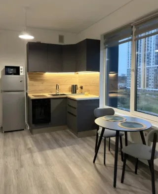 Студия, 27 м², ст. м. Пионерская