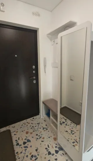 Студия, 27 м², ст. м. Девяткино