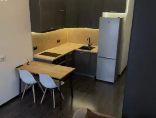 Студия, 27 м², ст. м. Проспект Ветеранов