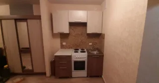 Студия, 26 м², ст. м. Лесная