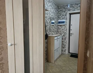Студия, 27 м², ст. м. Девяткино