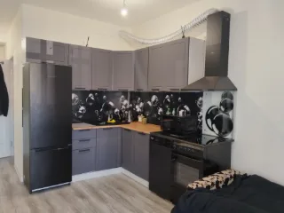 1-к. кв., 31 м², ст. м. Девяткино