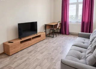 1-к. кв., 39 м², ст. м. Проспект Просвещения